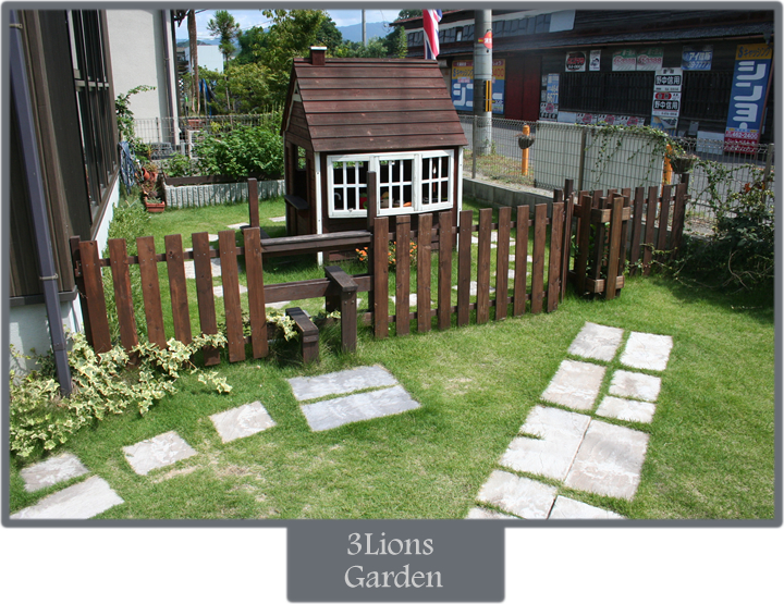 3 Lions School Photos