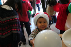 3Lions Christmas 2011 Button